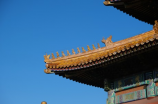 探秘北京大观园内奇妙的世界